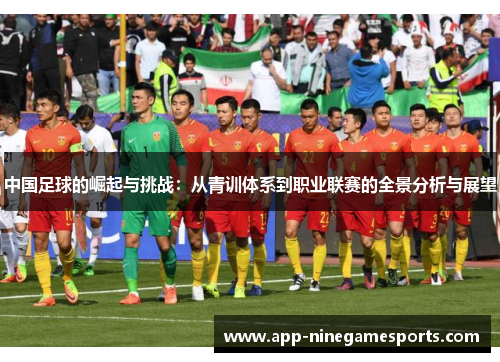 中国足球的崛起与挑战：从青训体系到职业联赛的全景分析与展望