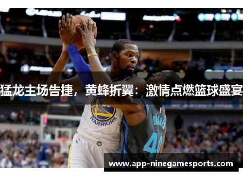 猛龙主场告捷，黄蜂折翼：激情点燃篮球盛宴